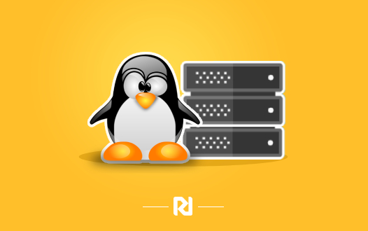 سرور لینوکس چیست و انواع آن کدامند؟